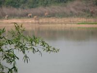 post-55564-0-84326400-1353296706_thumb.j