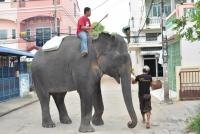 post-58709-0-94194400-1353820105_thumb.j