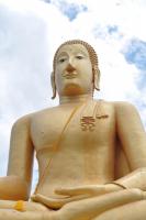 post-58709-0-96504900-1353820457_thumb.j