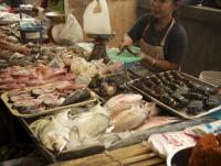 post-62520-0-05560600-1351750243_thumb.j