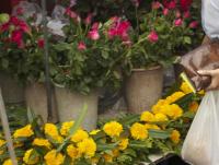 post-62520-0-10651200-1351750120_thumb.j