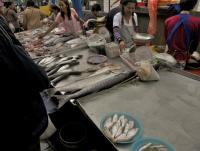 post-62520-0-53336200-1351750292_thumb.j