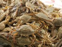 post-62520-0-70742500-1351750277_thumb.j