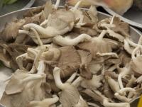 post-62520-0-71581800-1351750060_thumb.j