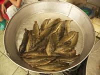 post-62520-0-88832800-1351750320_thumb.j