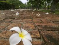 post-70928-0-01179400-1353935361_thumb.j