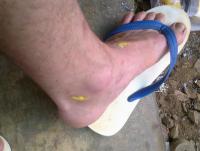 post-70928-0-77414800-1352010842_thumb.j
