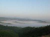 post-76207-0-35824800-1353485147_thumb.j