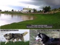 post-76988-0-09641600-1353146800_thumb.j