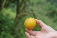 post-85461-0-09008800-1353671279_thumb.j