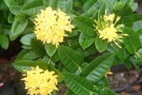 post-85461-0-10057300-1353938652_thumb.j