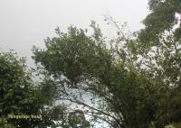 post-85461-0-14163500-1353671316_thumb.j