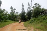 post-85461-0-19136100-1353671108_thumb.j