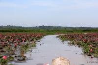 post-85461-0-32014000-1353562273_thumb.j