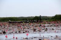 post-85461-0-39728800-1353562004_thumb.j