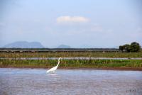 post-85461-0-41251600-1353562056_thumb.j