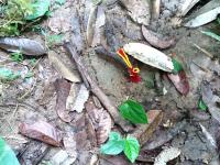 post-85461-0-42399600-1353551765_thumb.j