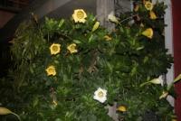 post-85461-0-42866100-1353039942_thumb.j