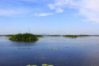 post-85461-0-54119600-1353562035_thumb.j