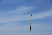 post-85461-0-62400100-1353562010_thumb.j