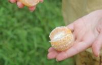 post-85461-0-66192300-1353671294_thumb.j