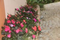 post-85461-0-77857800-1353254138_thumb.j