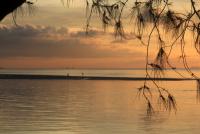 post-85461-0-96298300-1353937505_thumb.j