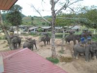 post-95995-0-01598600-1353196870_thumb.j