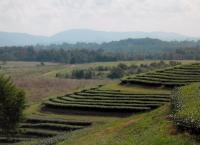 post-95995-0-10804400-1353981815_thumb.j