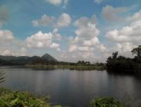 post-95995-0-12907300-1353981928_thumb.j