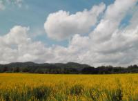 post-95995-0-24469000-1353981551_thumb.j