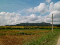 post-95995-0-29050600-1353981398_thumb.j