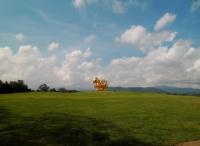 post-95995-0-34282000-1353981355_thumb.j