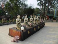 post-95995-0-38716600-1353418952_thumb.j