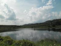 post-95995-0-66944600-1353981974_thumb.j