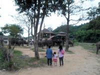 post-95995-0-83011200-1353196515_thumb.j