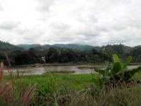 post-95995-0-84826900-1353196568_thumb.j