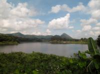 post-95995-0-92372000-1353981863_thumb.j