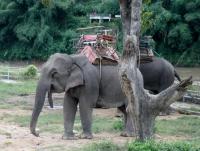 post-95995-0-92372100-1353196682_thumb.j