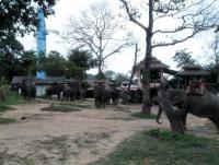 post-95995-0-94424800-1353196764_thumb.j