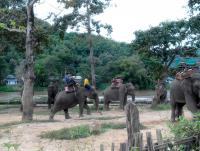 post-95995-0-97415200-1353196943_thumb.j