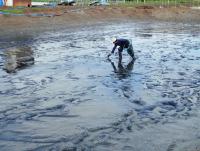 post-104736-0-08622100-1385413102_thumb.