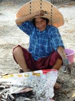 post-104736-0-14199700-1383316000_thumb.