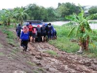 post-104736-0-21410300-1383610814_thumb.