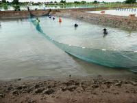 post-104736-0-42018000-1385412113_thumb.