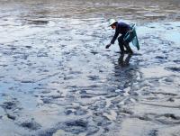 post-104736-0-54041600-1384995252_thumb.