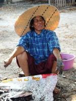 post-104736-0-59741900-1383316008_thumb.