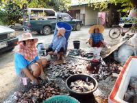 post-104736-0-65277500-1383315991_thumb.