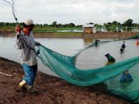 post-104736-0-65702400-1385411974_thumb.