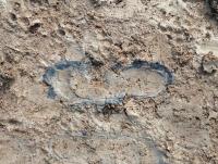 post-104736-0-71464700-1385412284_thumb.